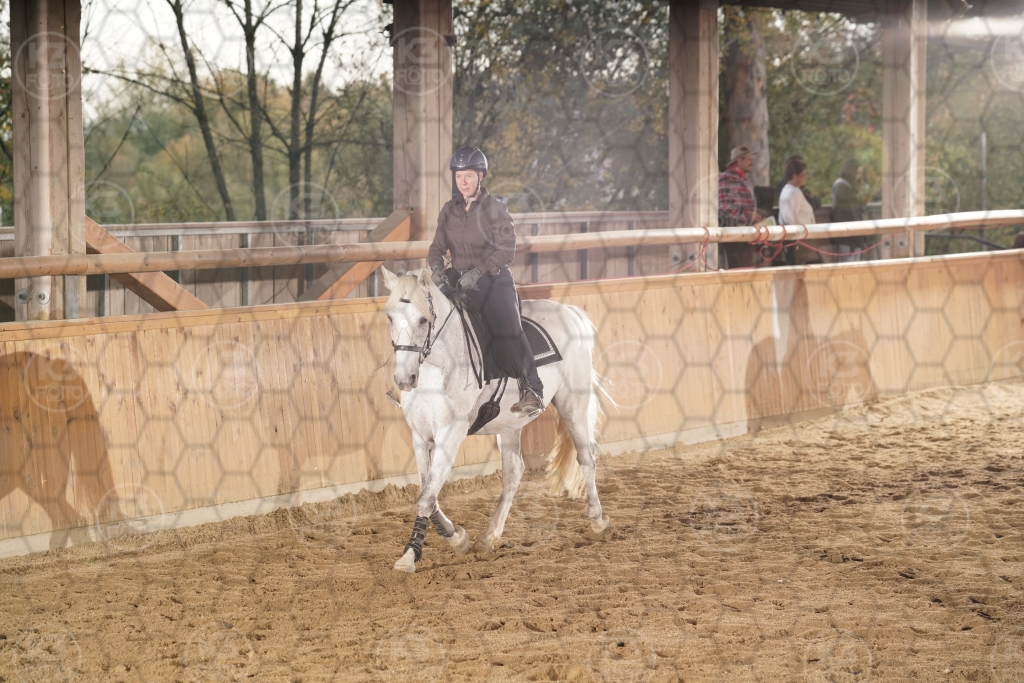 s_K3F07895.JPG